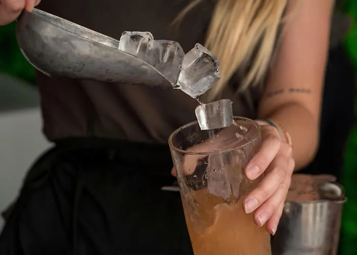 Novotel Paris Est Centre De Conference Otel 4*